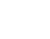 P+P Artec